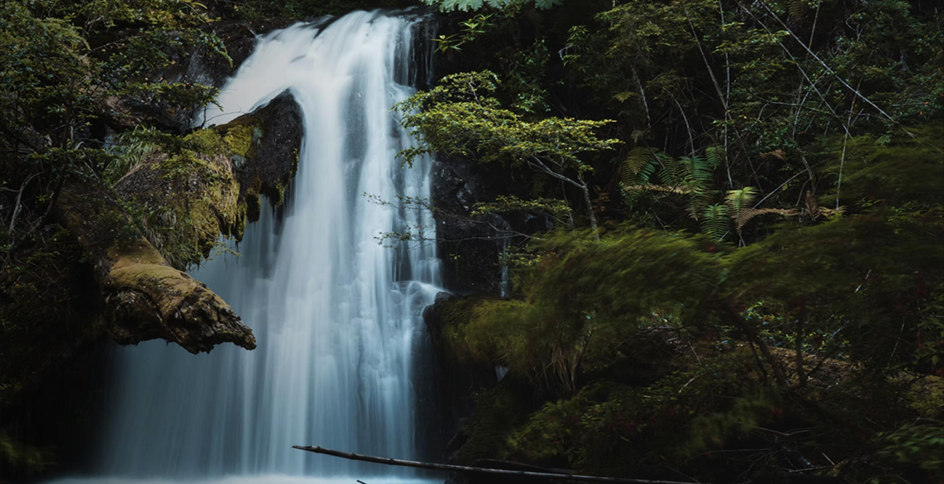 Secure the Water Rights